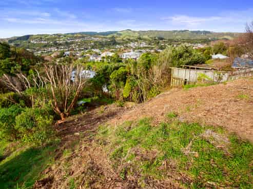 58D Lincoln Avenue, Tawa