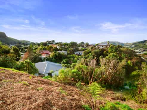 58D Lincoln Avenue, Tawa