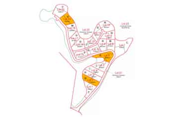 3, 11 & 22 Pukaki Lane, Dairy Flat