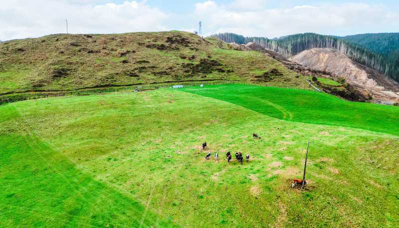 3789 State Highway 4, Ongarue
