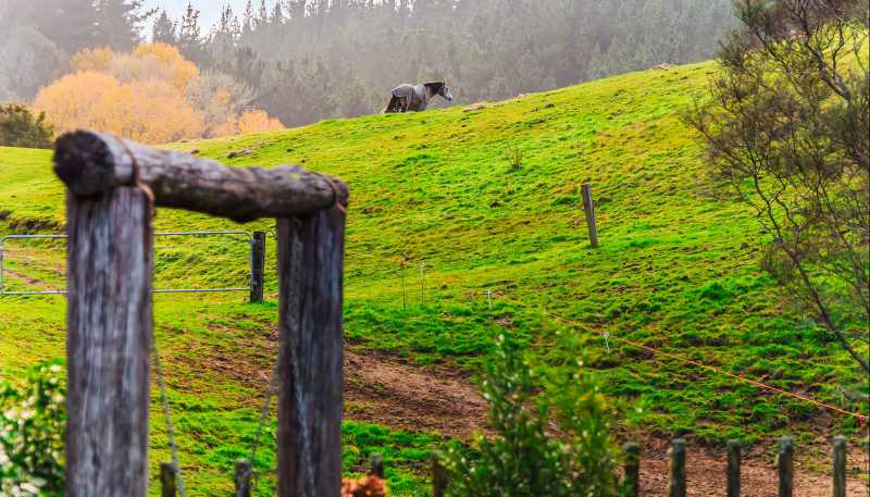 3789 State Highway 4, Ongarue
