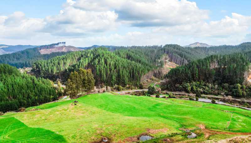 3789 State Highway 4, Ongarue