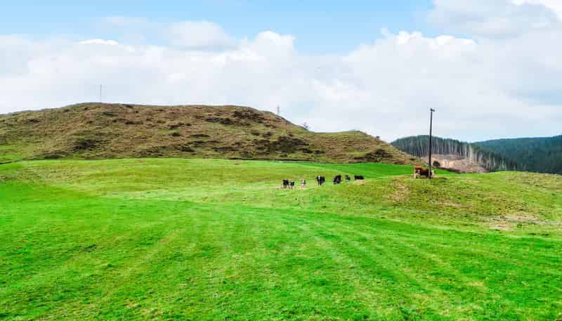 3789 State Highway 4, Ongarue