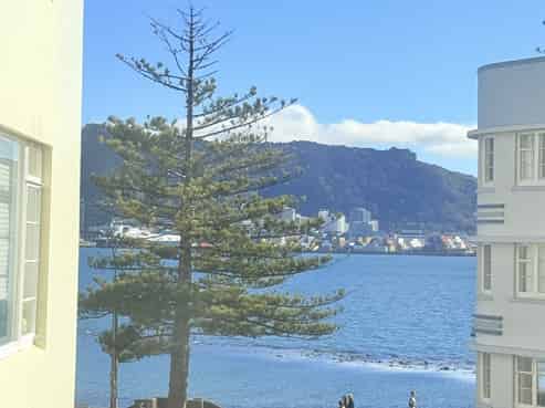 2a/274 Oriental Parade, Oriental Bay
