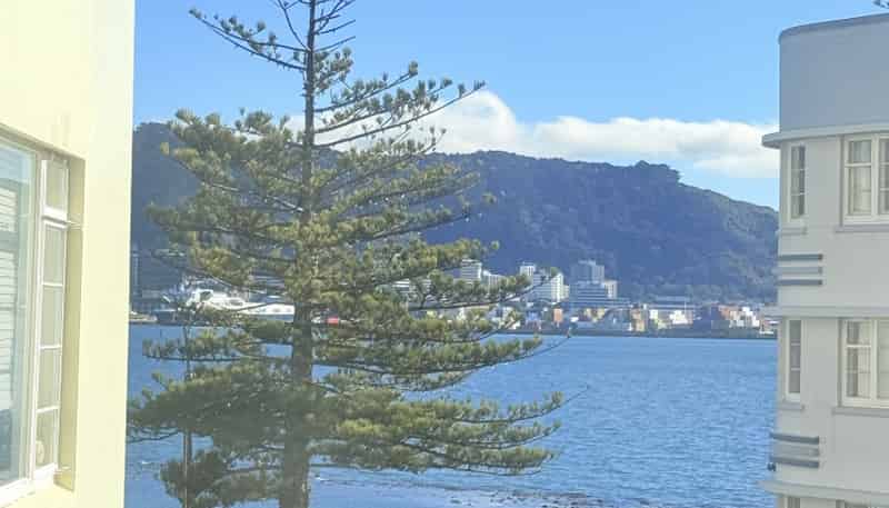 2a/274 Oriental Parade, Oriental Bay