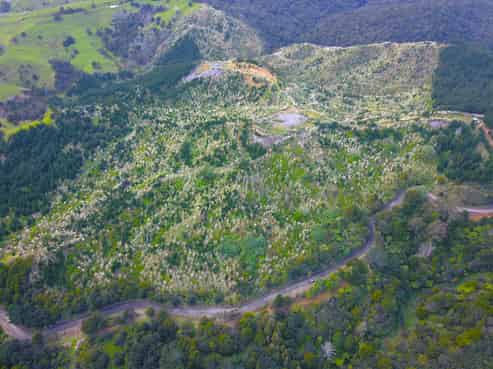 Lot 2 Waiotehue Road, Broadwood