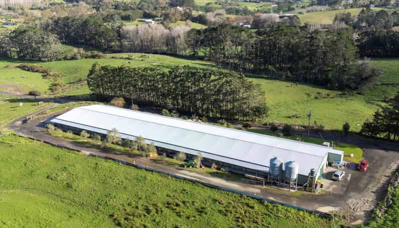 45 Tawa Road, Kumeu