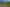 Auckland - Address withheld