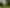 Taranaki - Address withheld