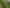 Taranaki - Address withheld