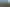 35 Wilson Road South, Motu Rimu