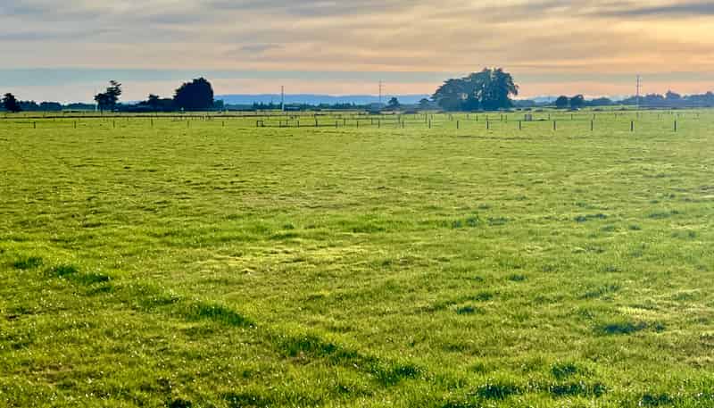 35 Wilson Road South, Motu Rimu
