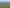 Auckland - Address withheld