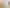 70 Chelwood Street, Takaro