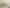 70 Chelwood Street, Takaro