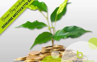 Whangarei Region Landscape Business - Genuine Motivated Sale: Established, Trusted & Ready for Growth