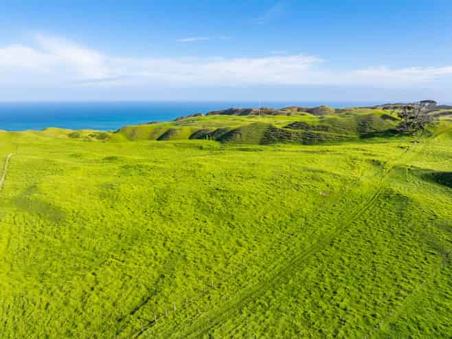  Pinaki Road, Dargaville