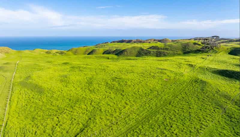  Pinaki Road, Dargaville