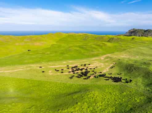  Pinaki Road, Dargaville