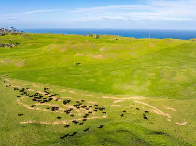  Pinaki Road, Dargaville