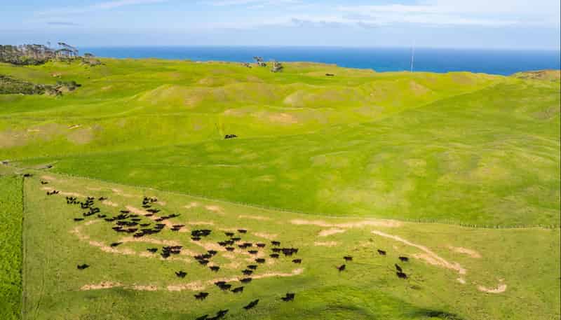  Pinaki Road, Dargaville