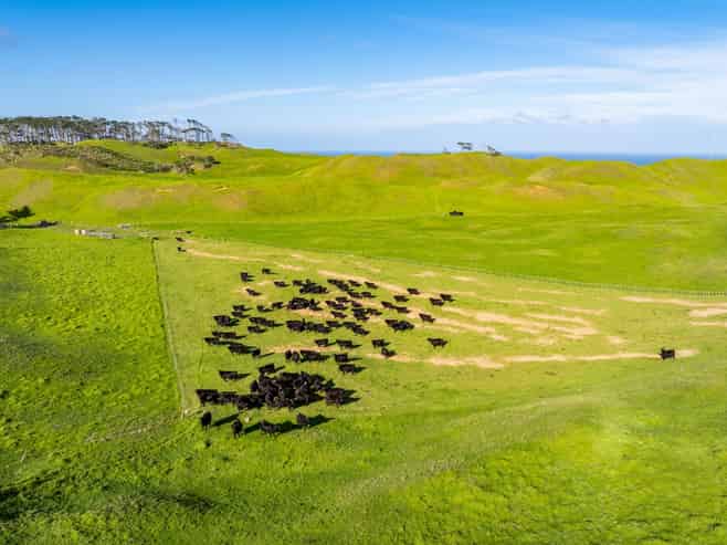  Pinaki Road, Dargaville