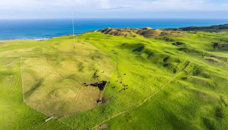  Pinaki Road, Dargaville