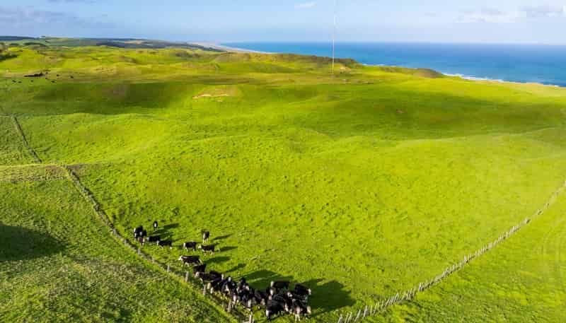  Pinaki Road, Dargaville