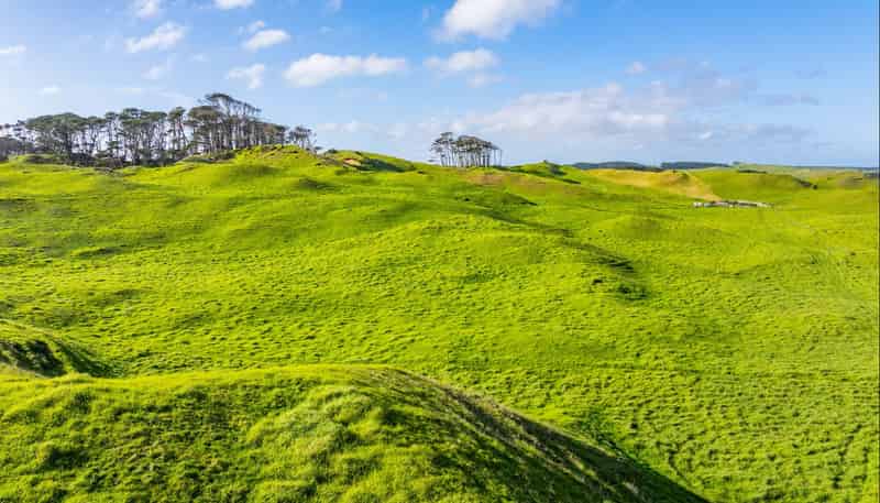  Pinaki Road, Dargaville