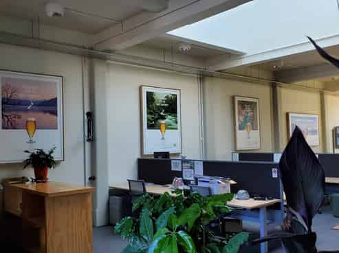Prime Nelson city office space