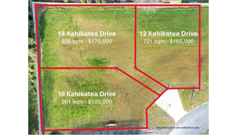 12, 14, 16 Kahikatea Drive, Gore