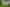 670 Oruru Road, Peria