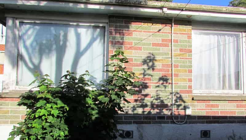 116 Queen Street, North Dunedin