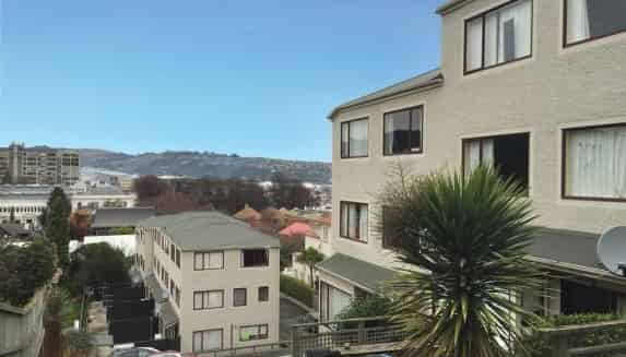 8/543 George Street, North Dunedin