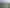 Gisborne - Address withheld