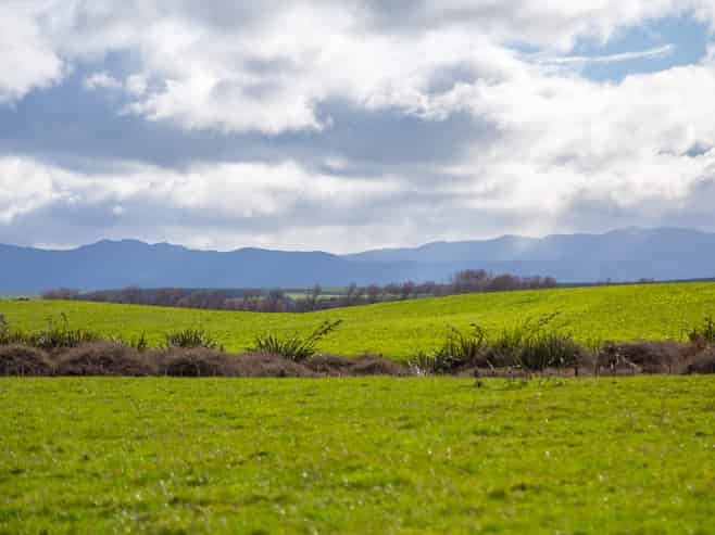 Lot 9, 18 Mahaki Road, Martinborough