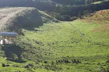 515 Zig Zag Road, Pohangina