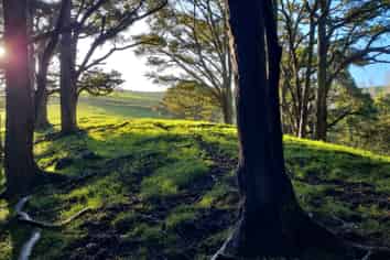  Massey Road, Maungaturoto