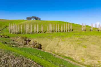  Massey Road, Maungaturoto