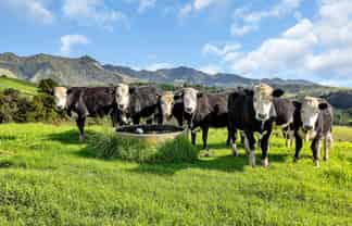 1524 Kirikopuni Valley Road, Whangarei