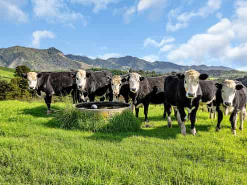 1524 Kirikopuni Valley Road, Whangarei