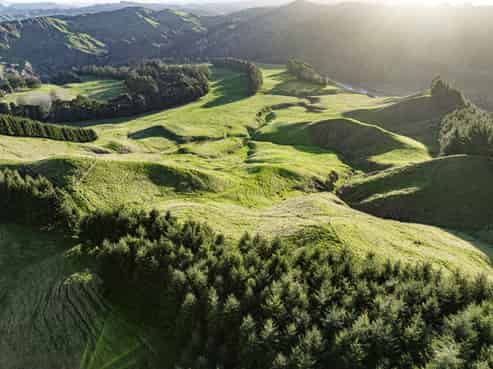 1015 Waitara Road, Te Haroto