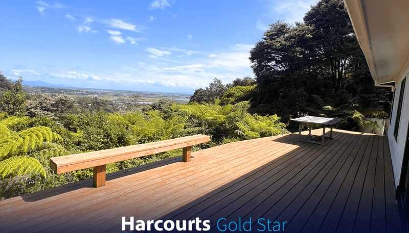 129 Collarbone Road, Thames