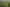  Picquet Hill Road, Te Awamutu