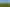  Picquet Hill Road, Te Awamutu