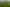  Picquet Hill Road, Te Awamutu
