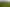  Picquet Hill Road, Te Awamutu