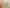 104 Pitt Street, Palmerston North