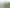 96 Babich Road North, Ranui