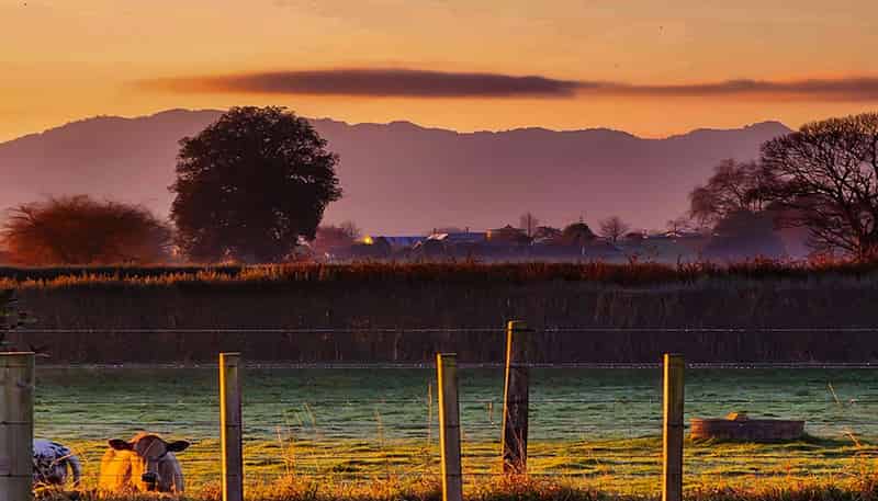 77 Sutton Road Te Awamutu, Te Awamutu